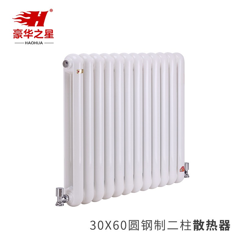 30X60圓鋼制二柱散熱器